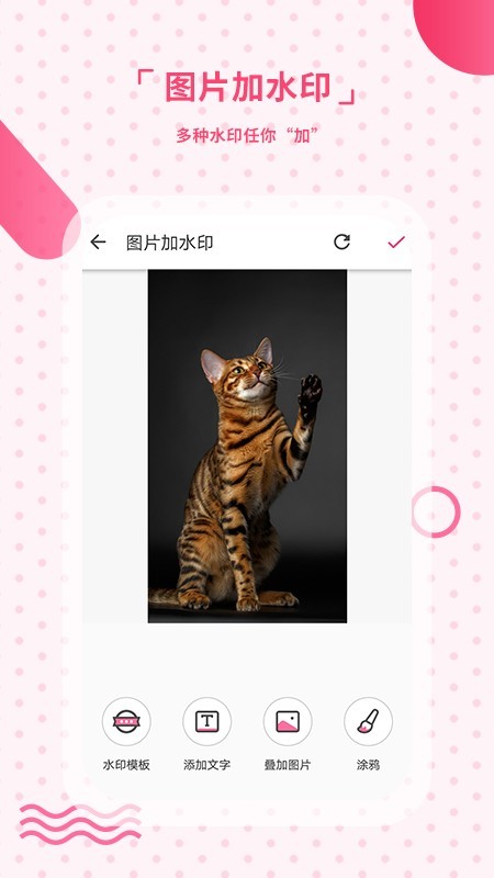 去水印相机app截图3