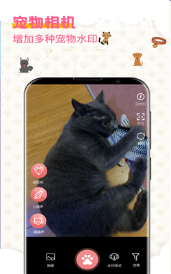 宠物翻译器app-2