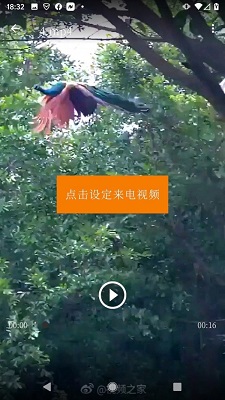 抖铃音app截图2
