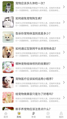 宠物伴你app