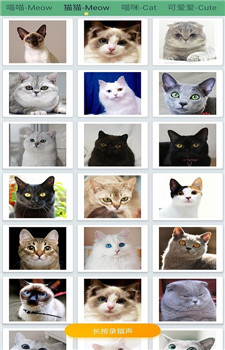 萌猫翻译神器app截图3