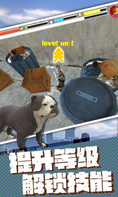 流浪狗生存模拟器-3