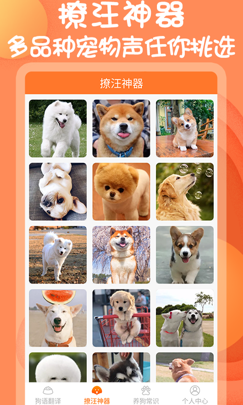 人狗交流器助手图4