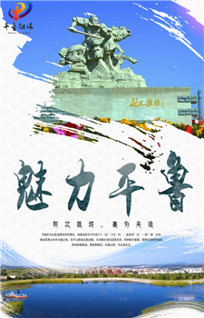 魅力平鲁app-0
