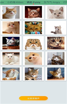 萌猫翻译神器app截图2