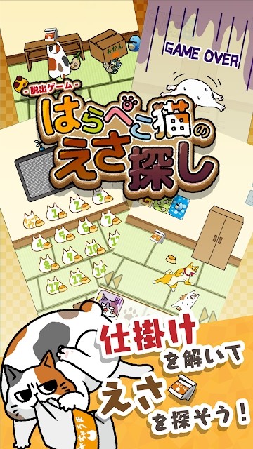 为饥饿的猫寻找饲料-2