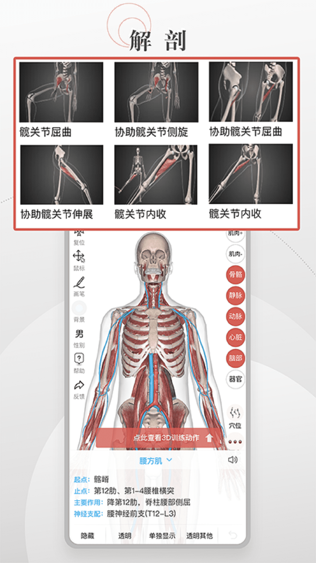 3D运动健康app-1