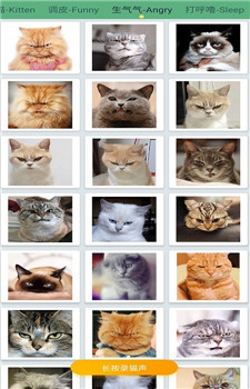 萌猫翻译神器app