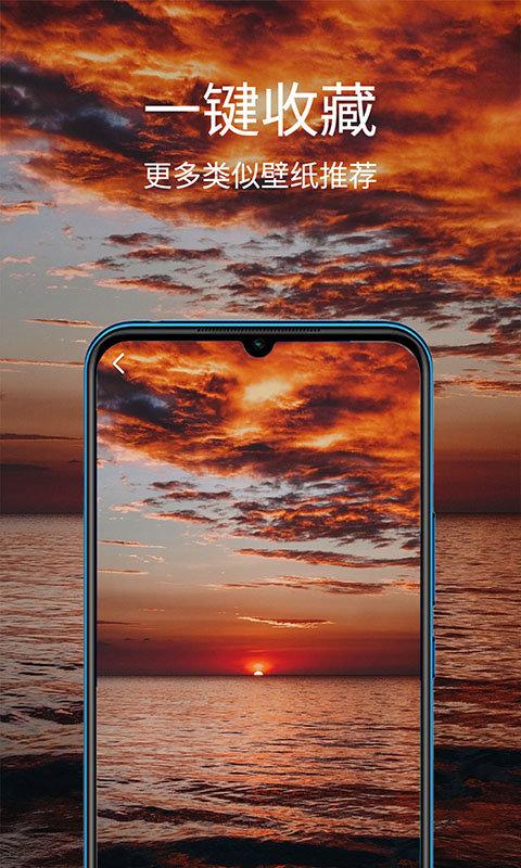 掌上聚合手机壁纸app