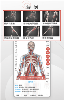 3D运动健康app
