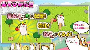 猫咪小镇-0