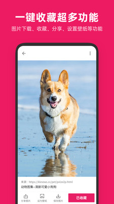 图片搜搜app-1