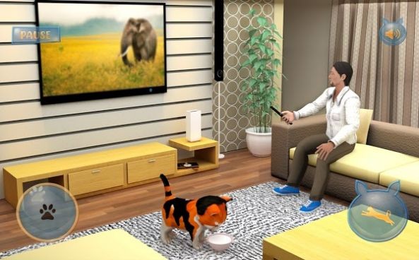 流浪猫模拟器截图2