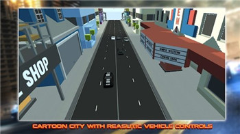 公路3D赛车模拟器TrafficRacingSimulator3D图2