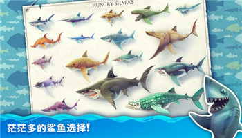 饥饿鲨世界破解版图3