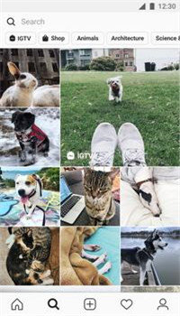 instagram官网版-3