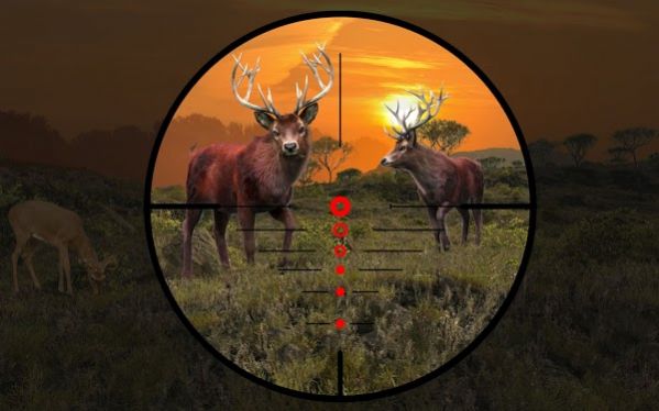 猎鹿动物射击(Deer Hunting Wild Animal Shooting Games 2021)-2