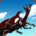 昆虫声音