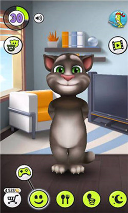 会说话的汤姆猫2