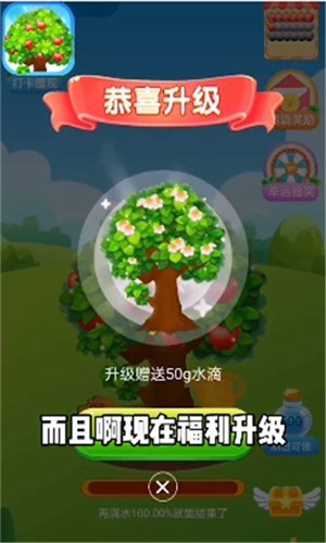 平安果园赚钱版图4