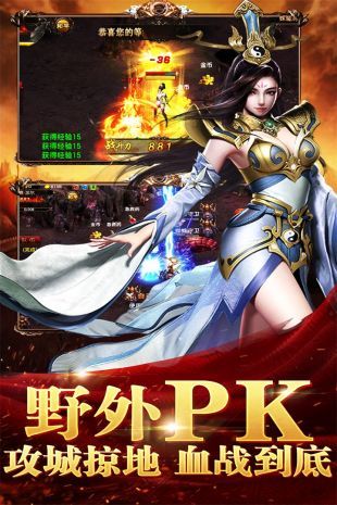 仿盛大传奇1.76手机版互通版图2