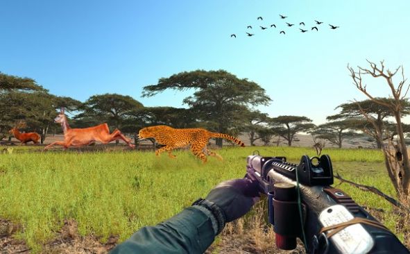 猎鹿动物射击(Deer Hunting Wild Animal Shooting Games 2021)-1