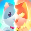 猫咪之光