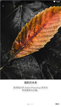 lightroom破解