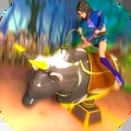 牛仔骑手