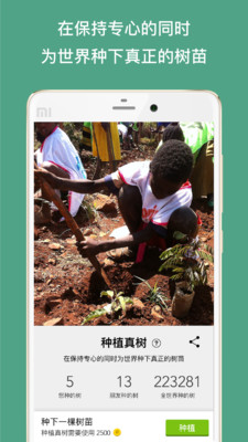 Forest专注森林图2