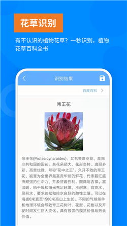 洋果扫描王图4