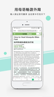 彩云小译官网版