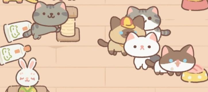 遇见你的猫版本大全