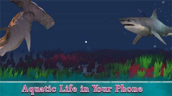 VR海洋水族馆3D截图2