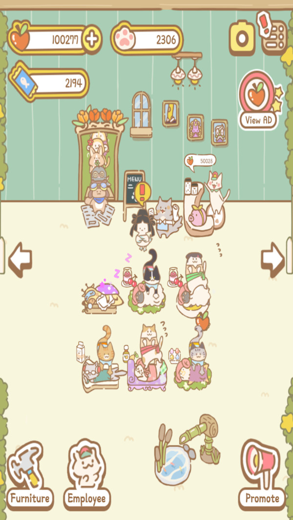 猫咪水疗中心-1
