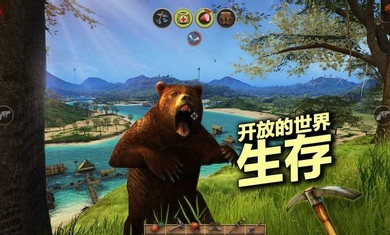 辐射岛-0