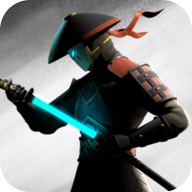 com.nekki.shadowfight3