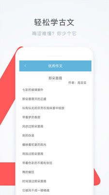 作业答案拍照搜题app图3