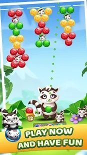 浣熊泡泡-0