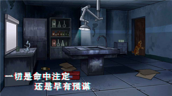 密室与猫截图1