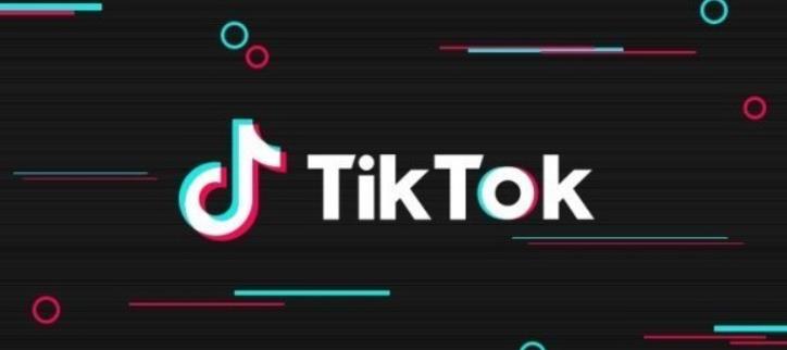 tiktok所有版本合集