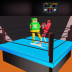 笨拙的战斗3D