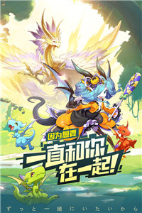 口袋觉醒九游版