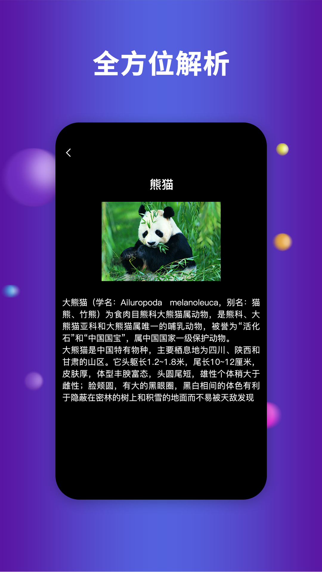 earth地球-1
