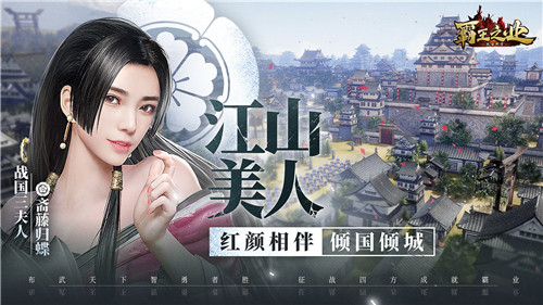 霸王之业截图1