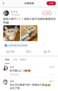 文鲤校园图2