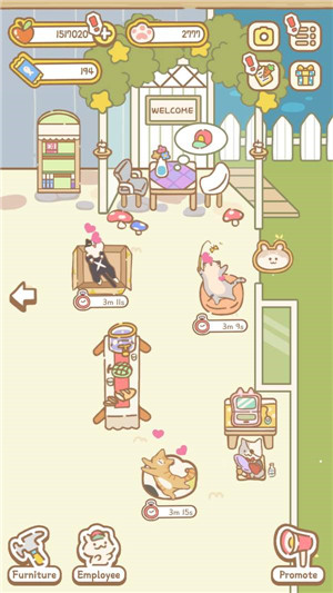 猫精灵护理店