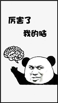 厉害了我的脑