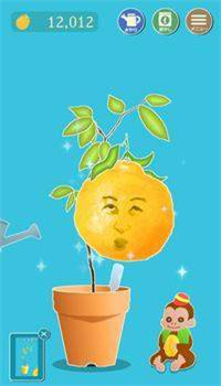 脸果树