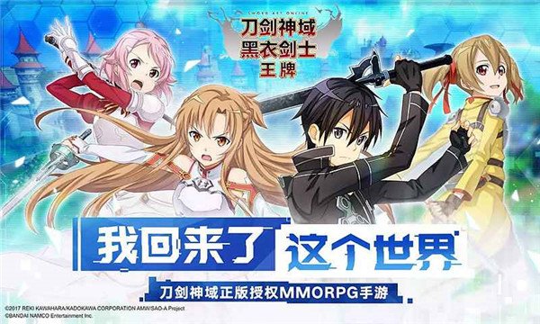 刀剑神域黑衣剑士王牌官方版-3